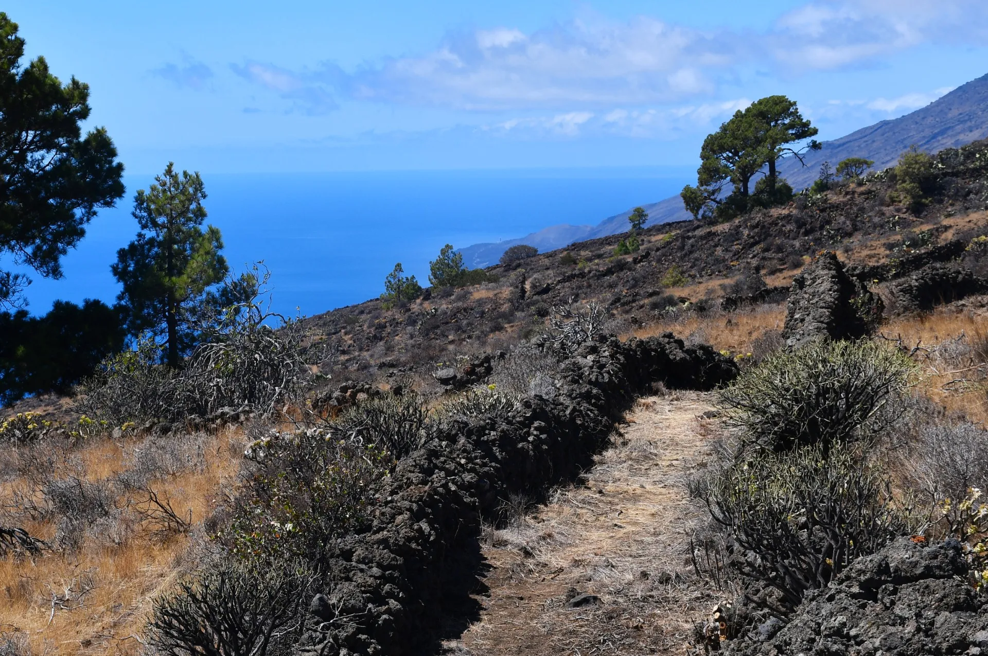 El Mentidero - El Canto - El Cascajo