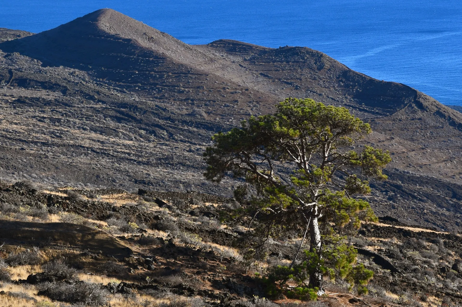 El Mentidero - El Canto - El Cascajo